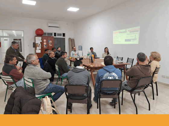 Jóvenes directores continúan apostando a los talleres informativos