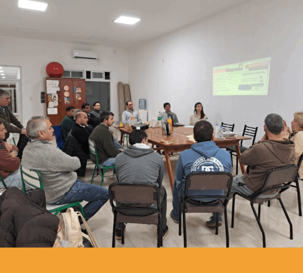 Jóvenes directores continúan apostando a los talleres informativos