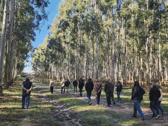 Directores visitaron la plantación forestal del Campo Santa María