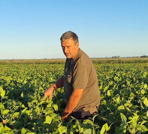 Conociendo a quienes conducen la Caja: Ing. Agr. Oscar Borgetto