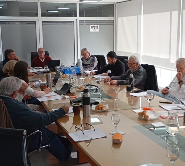 Avances y Camaradería: Reunión de Directorio de Junio