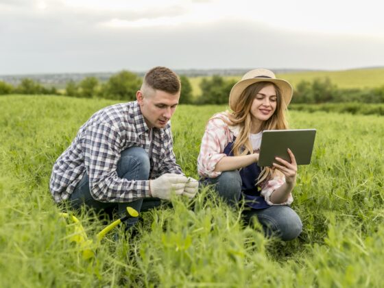 Más allá del campo: el aporte de la ingeniería agronómica al desarrollo de nuestra sociedad